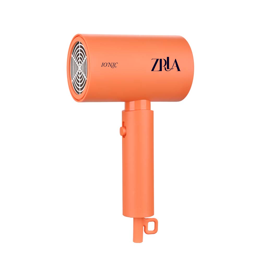 ZRLA NG-1900 HAIR DRYER